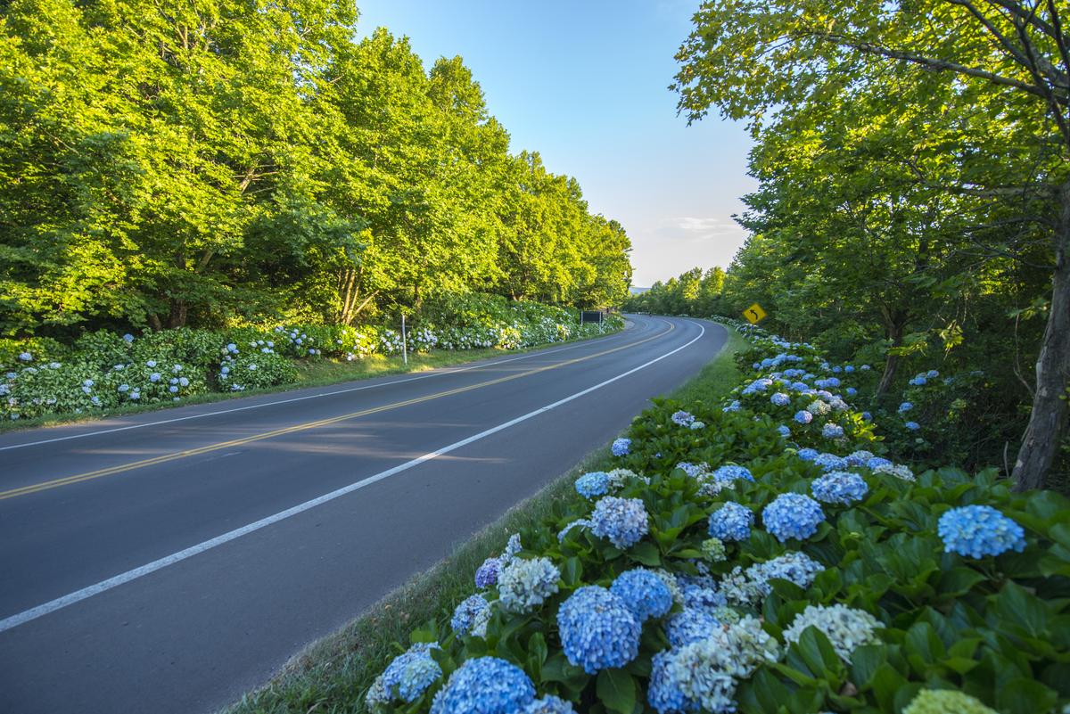 "Vista panorâmica de Gramado com casas caracterizadas por uma arquitetura europeia, capturada no outono, ilustrando como é morar em Gramado durante as diferentes estações do ano."